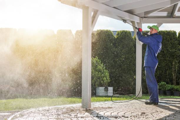 Best Driveway Pressure Washing  in Panama City Beach, FL